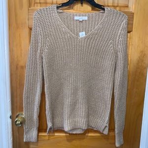 LOFT Knit Sweater